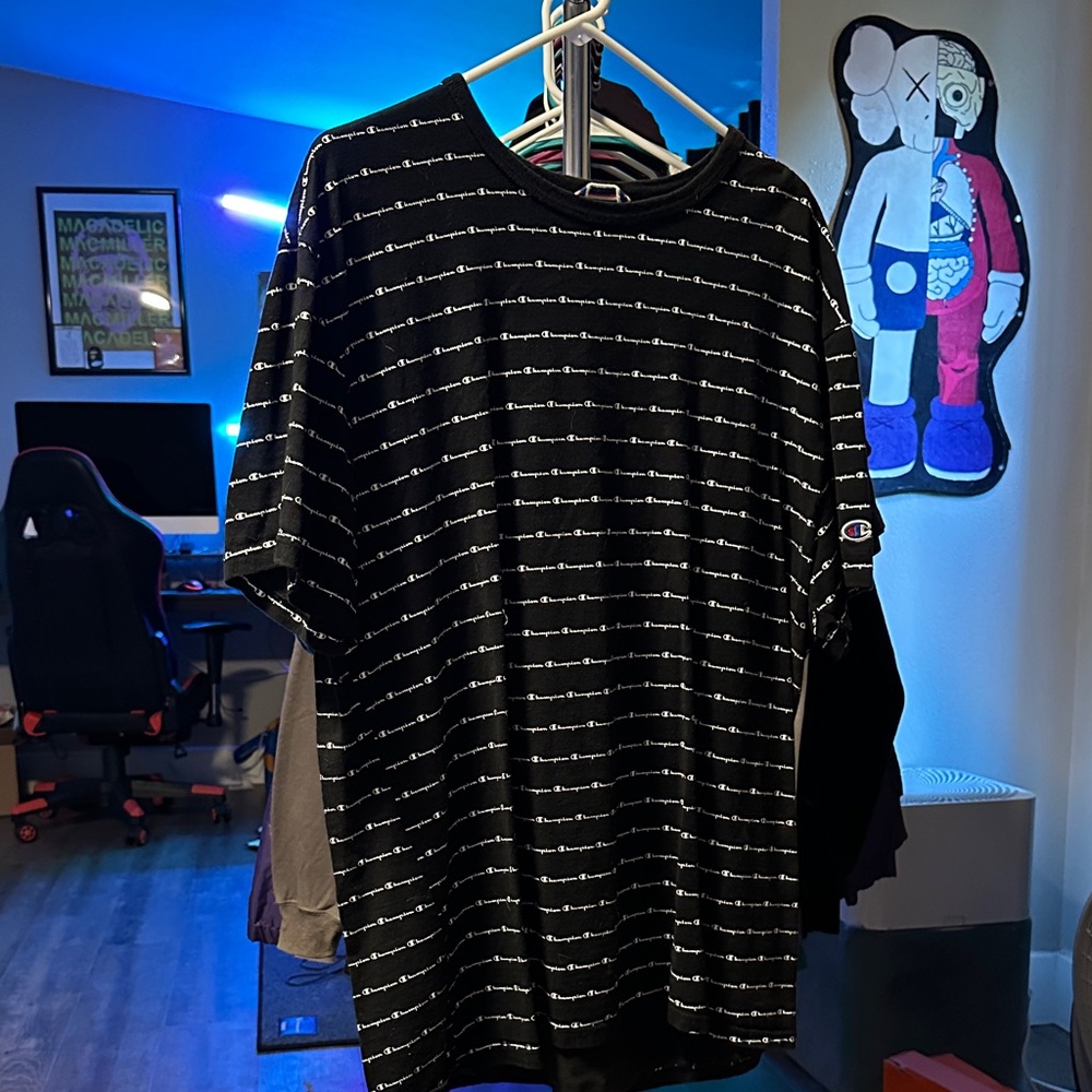 Champion Black and White Striped Men's Tee